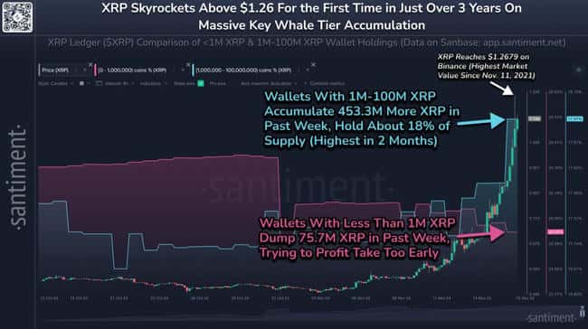 XRP突破1.2美元,创三年新高!巨鲸一周增持4.5亿枚代币