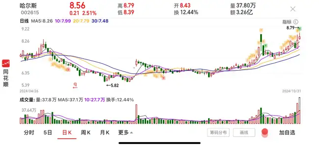 特朗普在暴风雨前夕展现高昂斗志