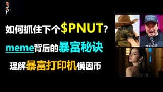 Meme币暴富密码：洞悉8个关键，捕捉下一个财富机遇