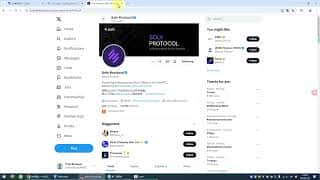 错过Solv、Babylon、Avalon？下一个大毛空投，保姆级教程助你一网打尽！