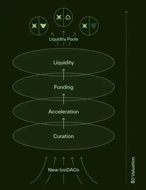 RIF、URO飙升，是否预示着Molecule三大引擎的崛起？