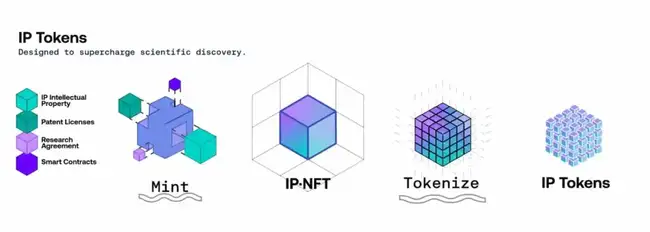 RIF、URO飙升，是否预示着Molecule三大引擎的崛起？