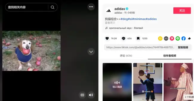 ARC、UFD创新高逆势上涨，你抓住冷门行情中的金狗了吗？今日Meme热门炒币盘点