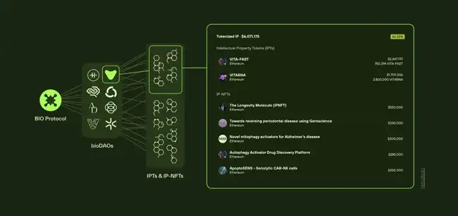 BIO Protocol登陆Binance，获CZ和Vitalik瞩目：链上科学版Y Combinator解析