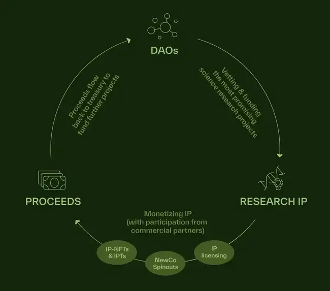 BIO Protocol登陆Binance，获CZ和Vitalik瞩目：链上科学版Y Combinator解析