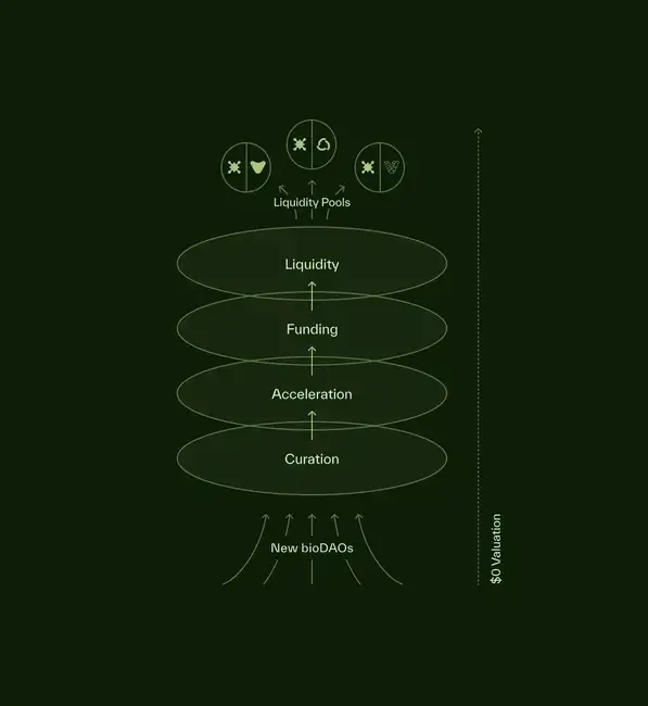 BIO Protocol登陆Binance，获CZ和Vitalik瞩目：链上科学版Y Combinator解析