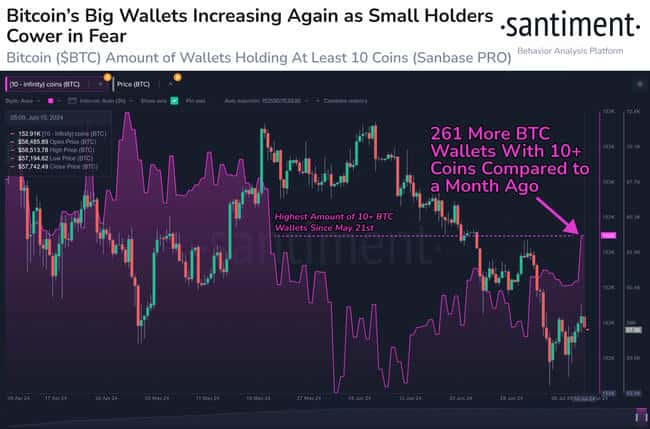比特币暴跌期间，鲸鱼大户狂揽43亿美元BTC