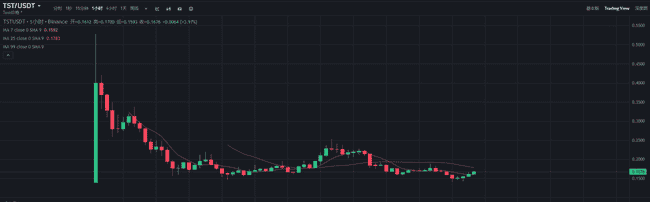 币安新币TST暴跌70%：0.16美元是抄底良机还是深渊陷阱？