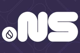 Sui Name Service (NS) 价格飙升：潜力爆发还是短暂狂热？