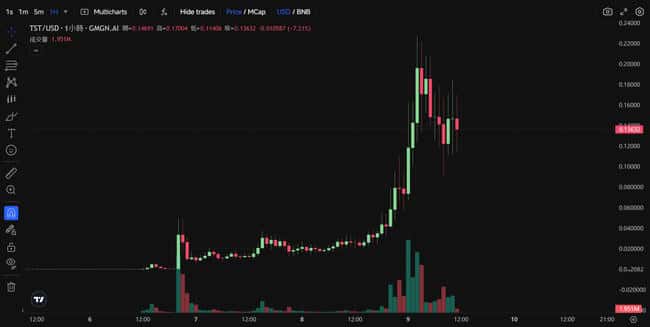 币安迷因币TST登Alpha平台暴涨千倍！CZ警告：禁止盗用Logo进行社群营销