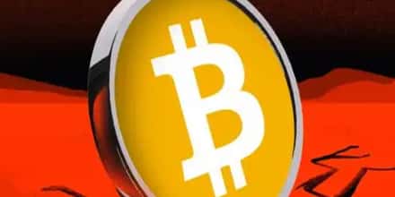 英国男子痛失8000枚比特币，富豪梦碎垃圾场