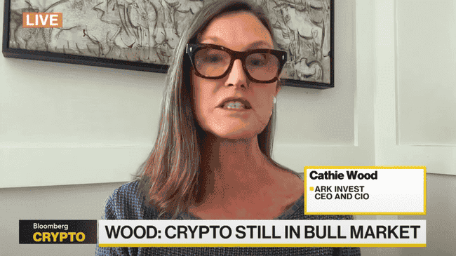 方舟投资Cathie Wood预测：迷因币终将归零，比特币2030年或突破150万美元大关