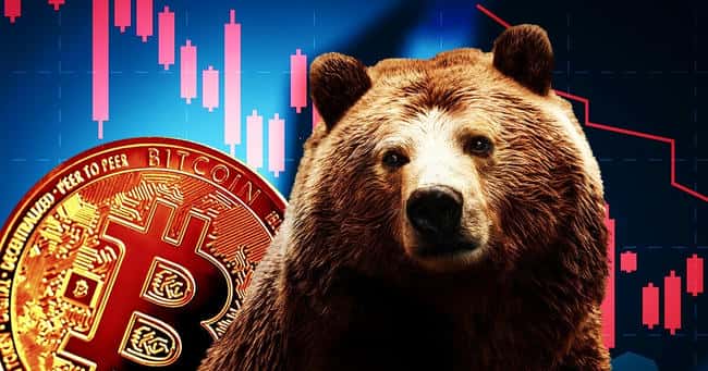 特朗普效应减退！比特币失守8.2万美元大关，加密货币交易量选后骤降70%