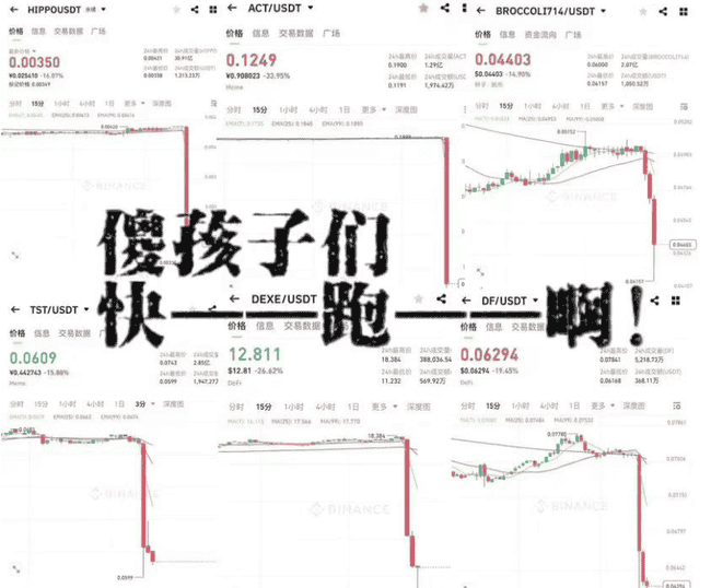 比特币突破8.5万，山寨币惨遭519式崩盘：市场风向突变揭秘
