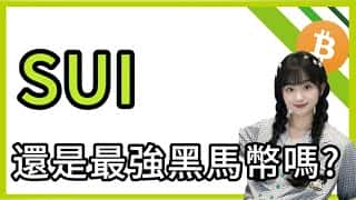 比特币哈希带闪现100%胜率买入信号！SUI遭2.2亿黑客攻击后能否涅槃重生？