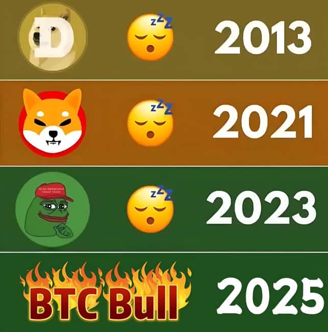 2025年币圈预警：狗狗币PEPE涨幅有限，谁是下一个百倍币黑马？