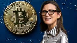 惊爆！Cathie Wood：比特币竟能抵押买房？！