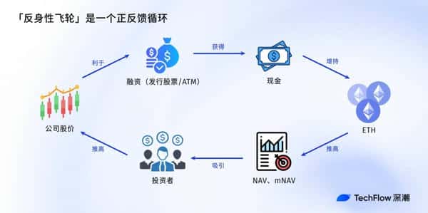你的加密股票值多少？NAV净资产价值，一看就懂！