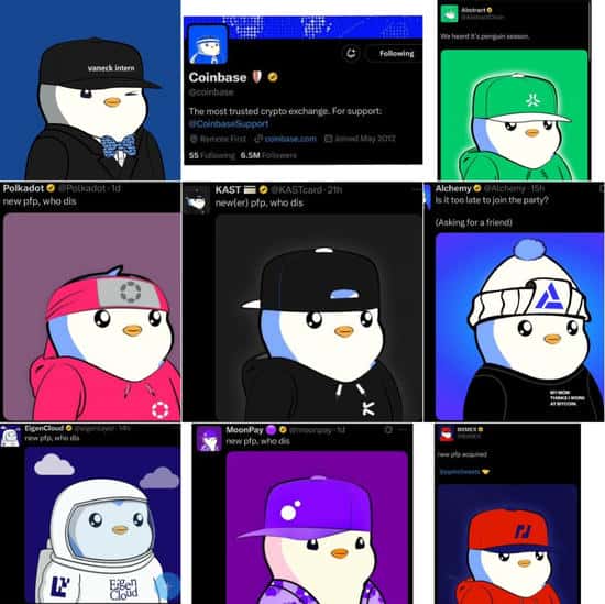 胖企鹅Pudgy Penguins刷爆加密圈：NFT文化新风向标！