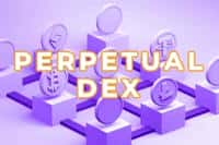 2025百倍币黑马：未发币Perp DEX潜力股抢先看！