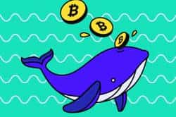 80亿BCH巨鲸盗窃案：加密史上最大悬案揭秘