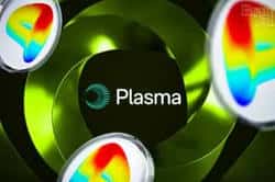 Plasma XPL公售：大户疯抢的打新机会，普通人如何上车？