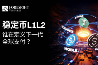 稳定币L1与L2：谁将引领下一代全球支付？