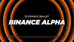 数据揭秘335币安Alpha代币：山寨季认知偏差，哪类项目最具潜力？