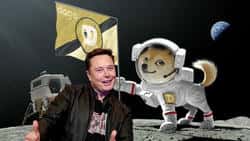 马斯克重启狗狗币登月计划：能否拯救今年暴跌60%的DOGE？