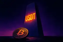 女股神重磅预警：比特币目标价砍至30万 稳定币正蚕食BTC市场