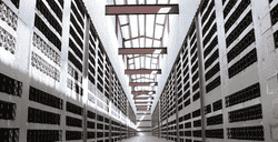 比特币矿企转战AI能源：Cipher与IREN携手亚马逊、微软签下百亿美元合约！