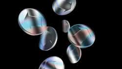 2025年加密行业11大项目终极评测:谁在合规浪潮中交出满分答卷?