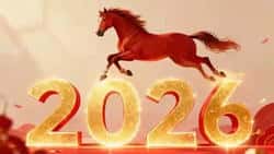 2026年加密货币投资风水大揭秘：火马年如何抓住财富暴涨机遇