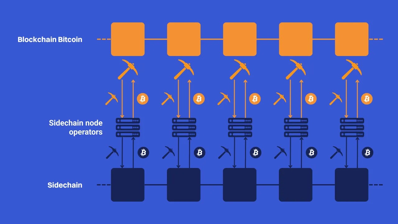 万亿比特币沉睡资产觉醒:2025年全球持币格局大洗牌