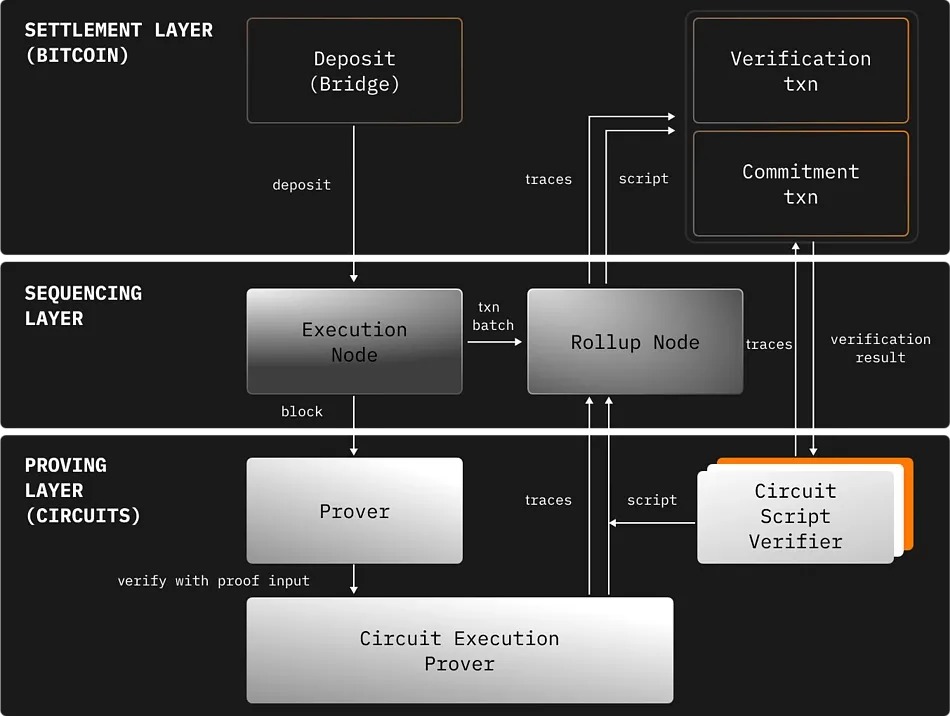 万亿比特币沉睡资产觉醒:2025年全球持币格局大洗牌
