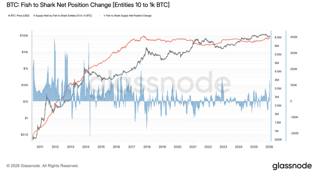 2026年比特币巨鲸疯狂抄底：30天鲸吞11万枚BTC创FTX崩盘后最大买盘