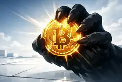 比特币跌破9万关口,巨鲸悄然加仓!