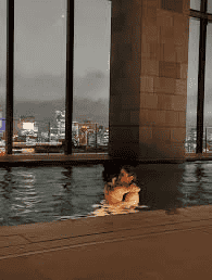 人人厌恶加密货币，背后的真相竟是我们自己！