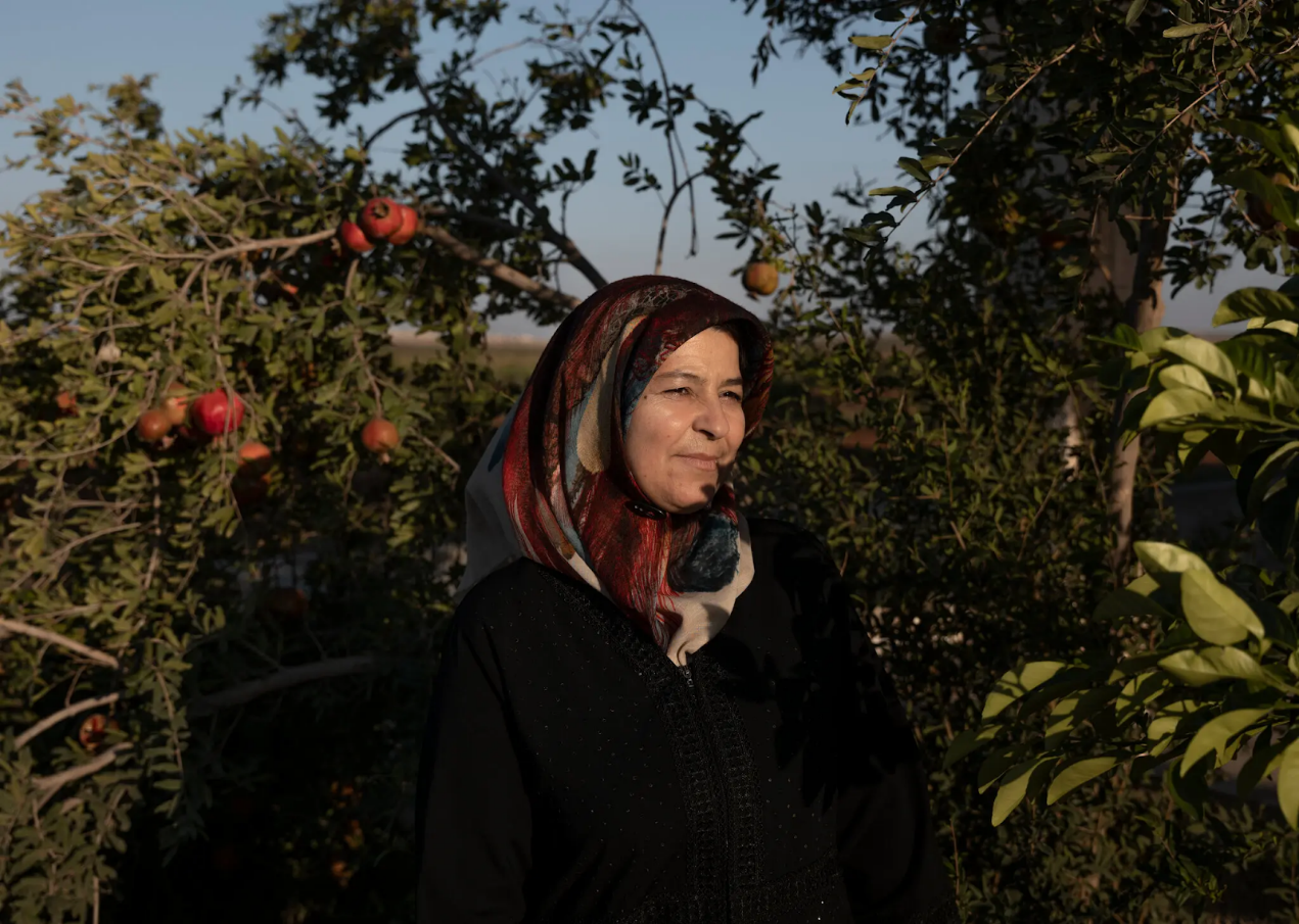 阿富汗稳定币：加密领域的新兴创新亮点