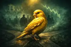 比特币6.2万美元生死线：72亿稳定币能否力挽狂澜？Bitwise警告流动性危机
