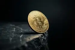 比特币史诗级变盘前夜！9万美元高位接盘者集体割肉，26%抛压引爆熊市终极信号