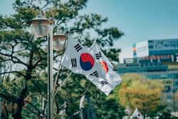 韩国芯片双雄暴跌8%引爆熔断！AI牛市神话一夜崩塌