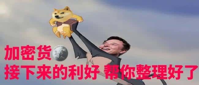 川普上任前夕:全面盘点相关概念币