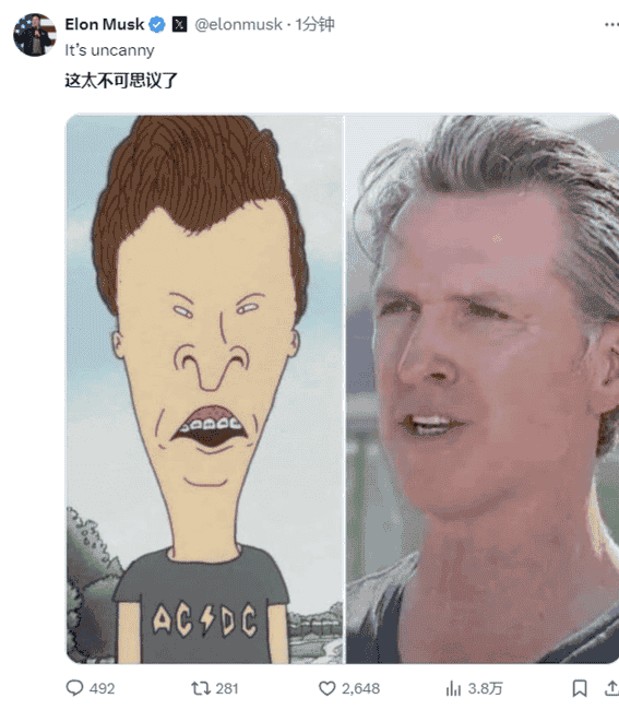 川普币引爆市场，百亿市值震撼登场，一级市场迎来黄金机遇期