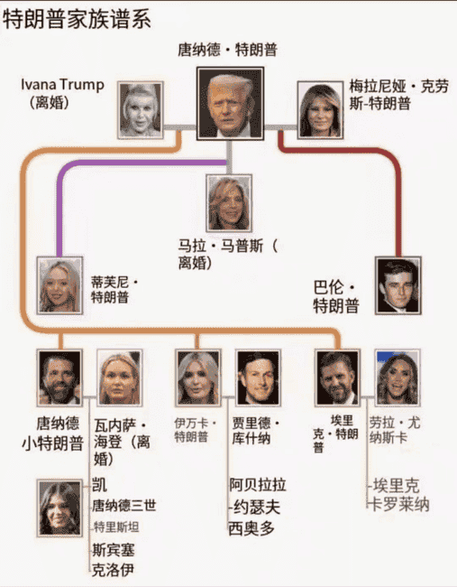 特朗普币飙升,第一夫人紧跟推出加密货币:总统效应引发市场狂热?