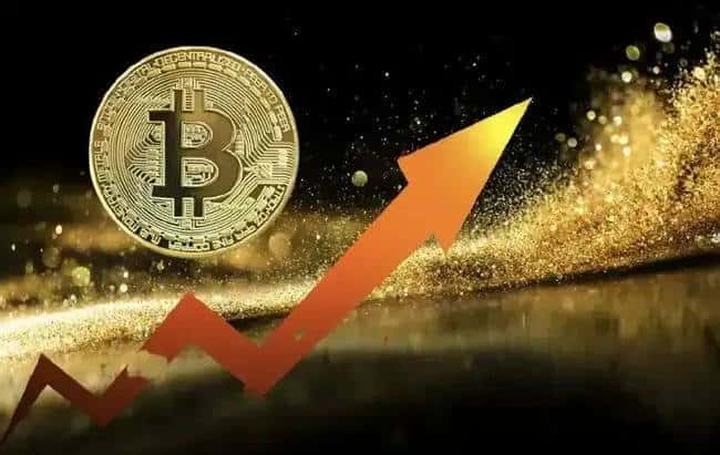2024年币圈热门趋势:Memecoin引领风潮!
