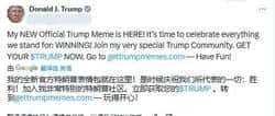 川普币引爆币圈热潮：市场反应激烈