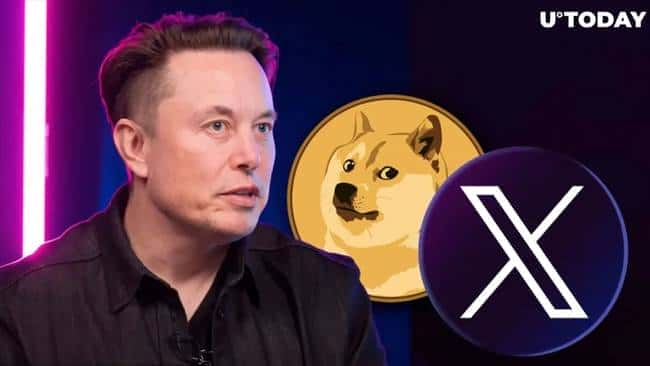 从玩笑到暴富：Meme币狂潮揭秘，财富密码与风险预警！