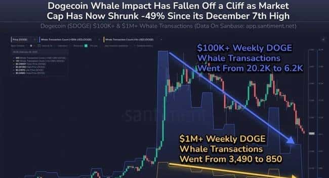 狗狗币（DOGE）鲸鱼交易量剧减70%：十万美元大单神秘消失之谜