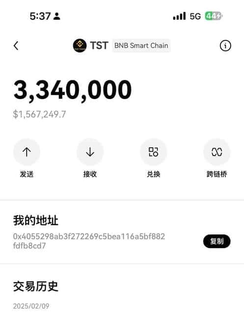 币安CZ缔造传奇:3天狂涨12749倍,揭秘TST神话的财富密钥!
